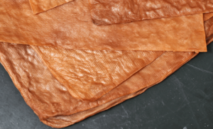 How Sustainable is Scoby LeatherHow Sustainable is Scoby Leather